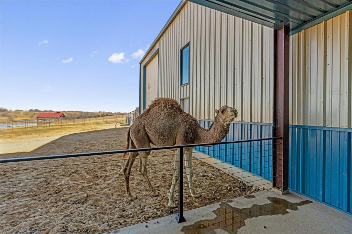 Готель Blue Hills Ranch McGregor Екстер'єр фото